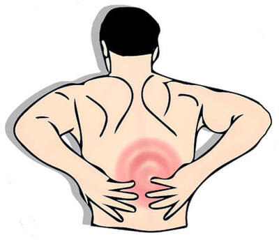 Back or Knee Pain