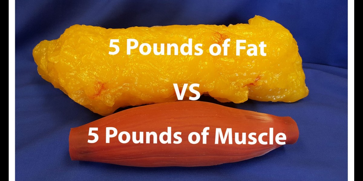 Muscle, Does it Weigh More Than Fat?