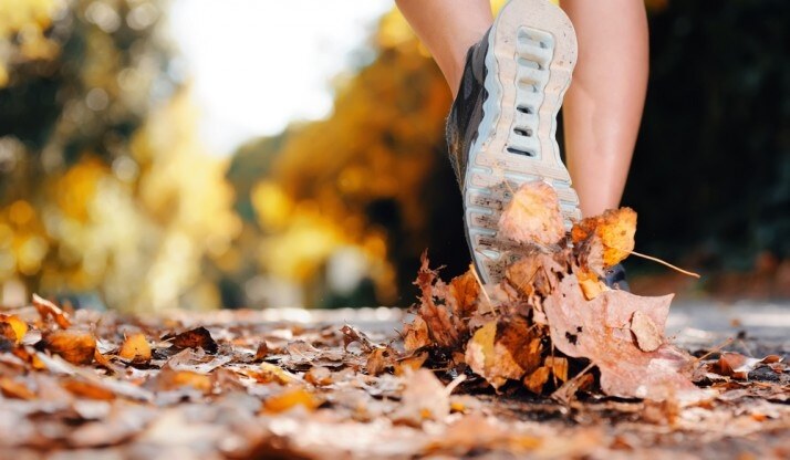 Fall Fitness – Top 5 Ways to Get Back to The Gym This Fall